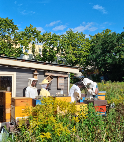 BienenAGbeider Arbeit