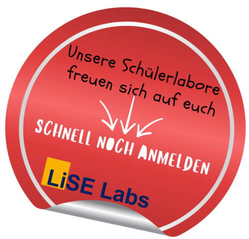 Button-LiseLab_2026-4