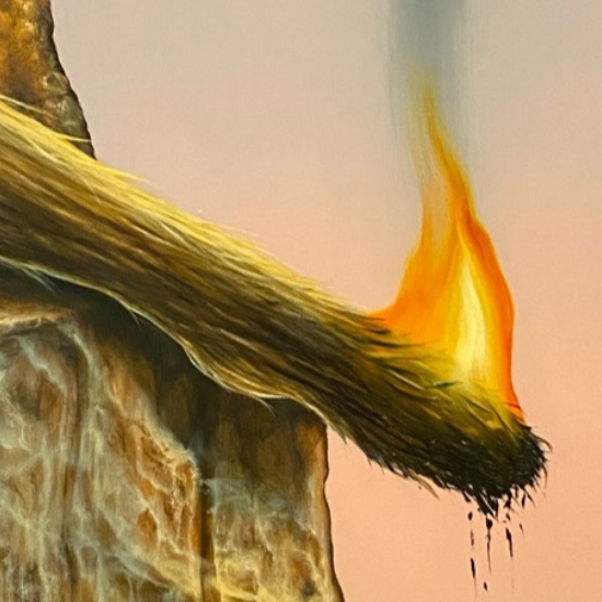 LNdW OSZ Lise Meitner Lagerfeuer
