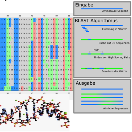genetischercode_lndw