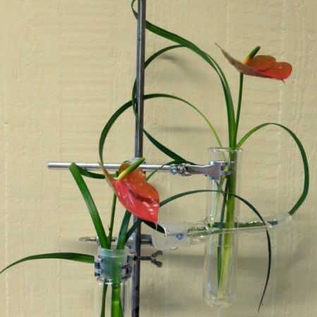 ikebana