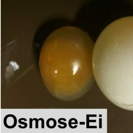 omose ei