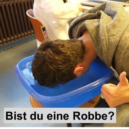 robbe